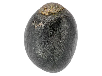 (Foto: Jan Braly Kihle/Jon Larsen)