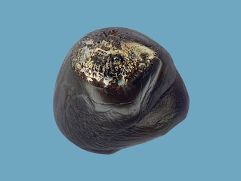 (Foto: Jan Braly Kihle/Jon Larsen)