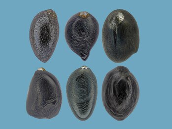 (Foto: Jan Braly Kihle/Jon Larsen)