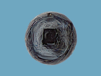 (Foto: Jan Braly Kihle/Jon Larsen)