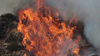 Las llamas se han vuelto