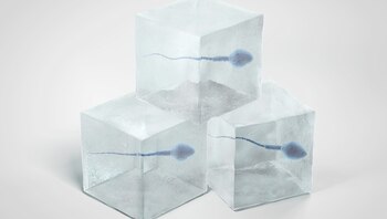 El consumo de marihuana le