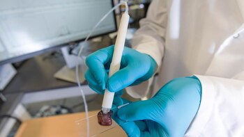 Es una sonda portátil que