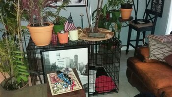 El actor tomó todos los