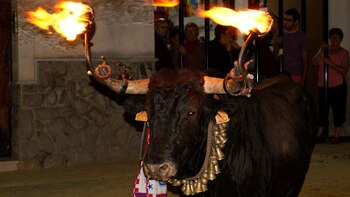 Toro Embolado. “Consisten en prenderle