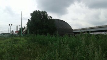 Nadie se imagina que debajo