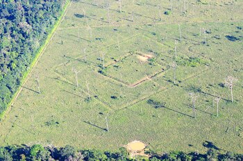 A través de ellos, buscaban