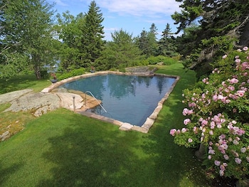 El parque con pinos y