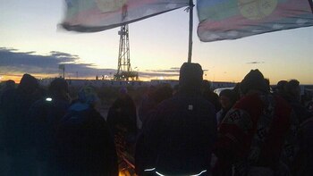 Desde que comenzó la actividad