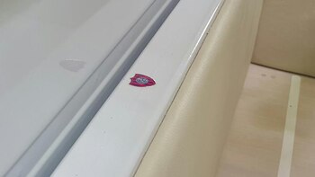 El escudo de San Lorenzo