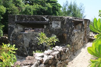 Reginald Herbert Cruise-Wilkins junto a