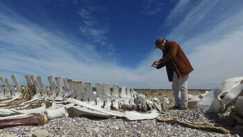 Christian Boltanski presenta su exposición