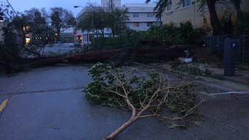 Imagen 6M3UBWFE2ZF43A72B2ZL2QHWGI