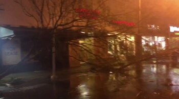 Ramos caídos en Lincoln Road