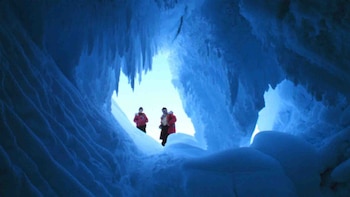 Los animales y las plantas