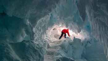 La mayor parte del ADN