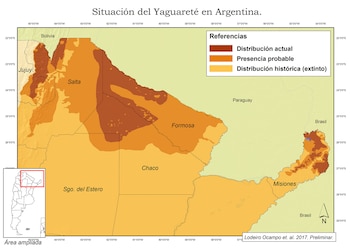 Gentileza Red Yaguareté.