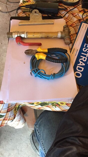 Se cree que estos elementos