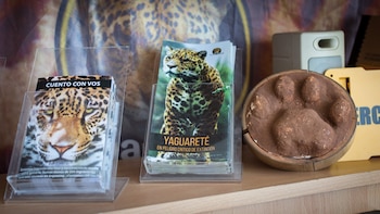 (Martín Rosenzveig)