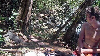 Fueron muchos los días, que