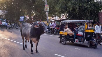 También en India, sufrió un