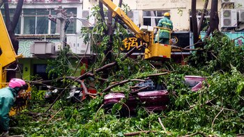 Los vientos fuertes del tifón