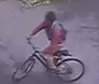 La imagen del sospechoso de