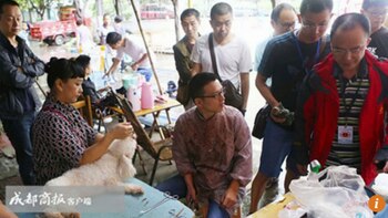 (Chengdu Business Daily)