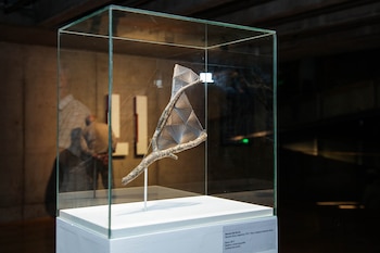 (Foto: Josefina Tommasi)