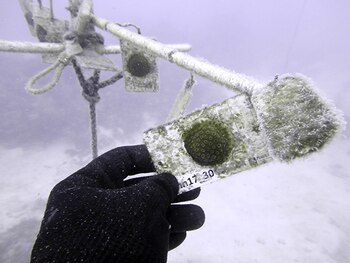 En la profundidad del océano es posible que los corales puedan volver a desarrollarse sin sufrir el daño devastador que el cambio climático les causa en la superficie. (Foto de FIU)