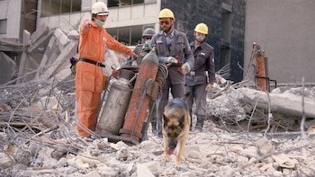 El terremoto en 1985 originó