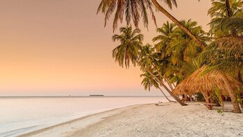 La isla es escenario para