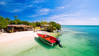 Hog Island es una de