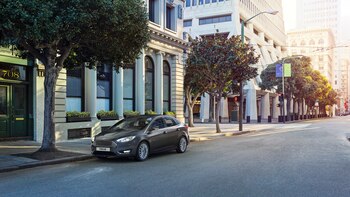 2017 viene siendo un gran