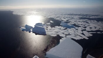 El desprendimiento de la cubierta