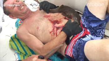 El animal terminó desangrándose sobre