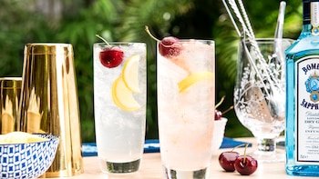 Tom Collins, por Inés De