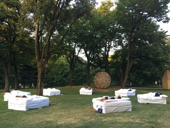 “Todo lo que está a