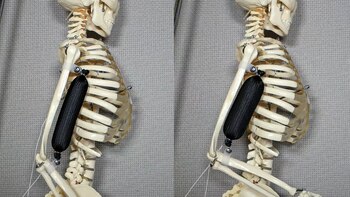 Creado a través de una