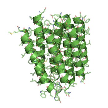 En 1990, Henderson presentó una