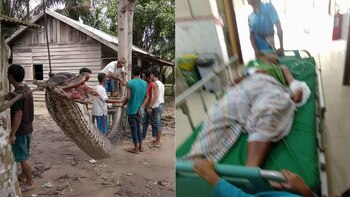 El guardia derrotó a la