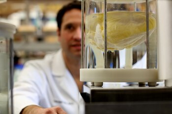 El especialista en cirugía cardiotorácica