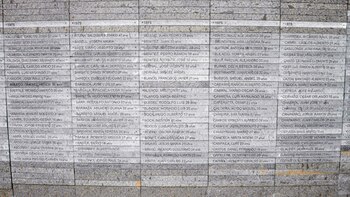 Boero y Briggiler murieron en