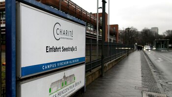 Los casi mil cráneos estaban