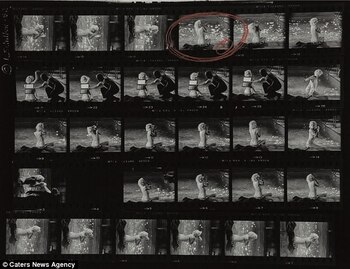 Las veinte fotos podría ser