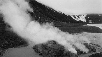 Adriana Lestido es autora de