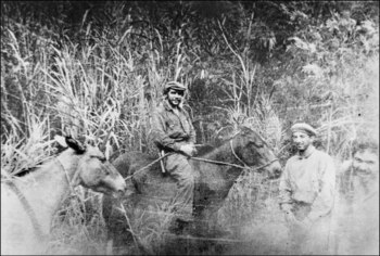 El Che Guevara en Bolivia,