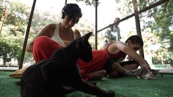 Además de música y comodidad,