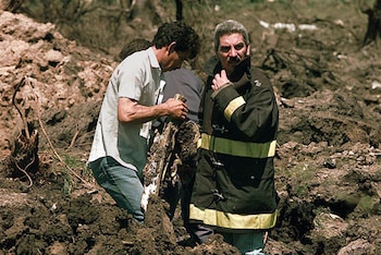 (misionesonline.net)