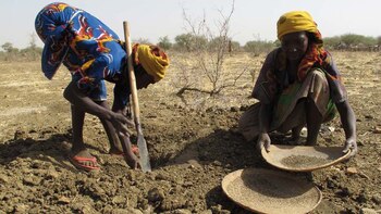 DSM colabora con los productores